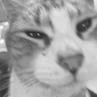 My love mine mine mine