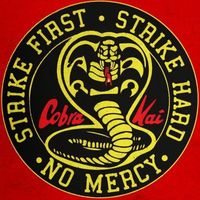 _.cobrakai._pov