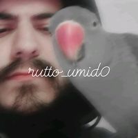 rutto_umid0