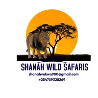 shanahwild