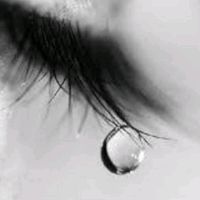 story_gray0