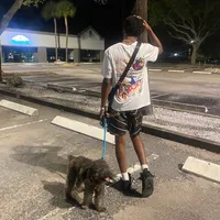 original sound - playboii.hasan