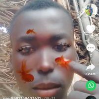user592679840