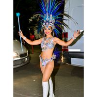 tamiiamarilla1