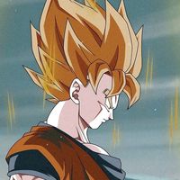 dbzfyp