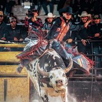 barillas69