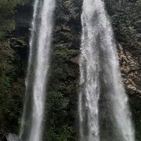 lavidah23