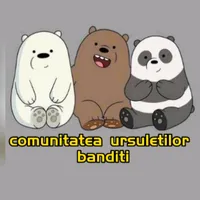 original sound - un_mesaj_necitit