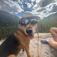 scoobydoowh0