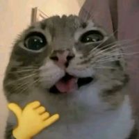kamazik0k