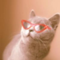 marinettedupainchengoo