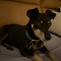 original sound - Emil Aep