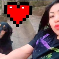 danimily0