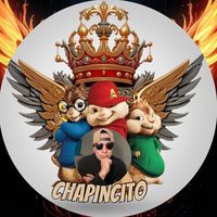chapincitoyac1