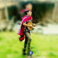 yilrqmos