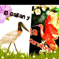 sonido original