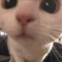 _wmptyy_