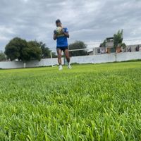 viclop91