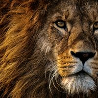 energia_motivacional547