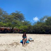 fiorellaavilag