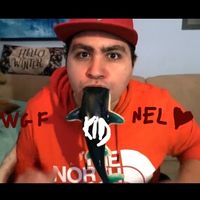 wgfkidnelcuoricino
