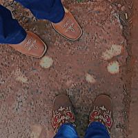 anajulia._.pandora521