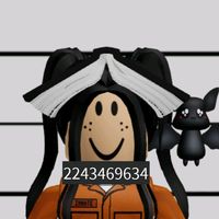 negri.coloridas_.rblx