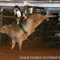 odairfloresbueno