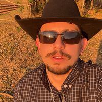 paulohenriqueebrasil