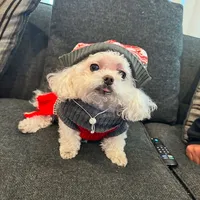 original sound - cupfulofhappiness