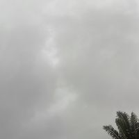 fillecalme46