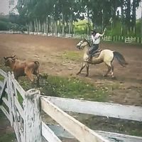 patrick_moura_45