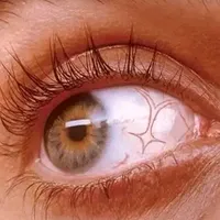 original sound - iamtrinityproofficall