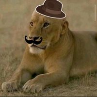 ЧТО DELAT ESLI ВЫ