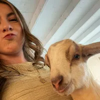 original sound - lalyyy__spamm