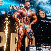 jordanhutchinsonifbb