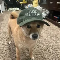 constellations by duster