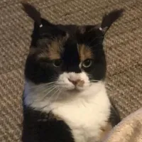 original sound - _esme_044