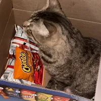 original sound - wereallyhatejonathan