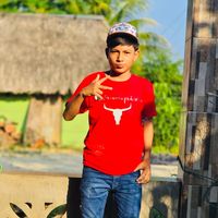 jhesner_ico.11