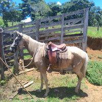user6805061300505