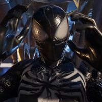 thisspiderdude