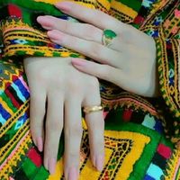 shireen8443