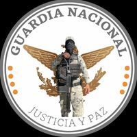 elflaco.gn1