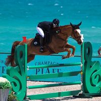 leakohenn
