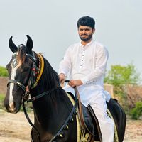 hassanriaztarar