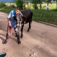 santiagorojasibar6