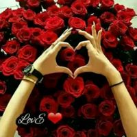 user4522984611109