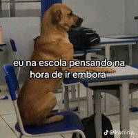 isalino.da.silva