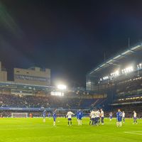 cfcbluearmy